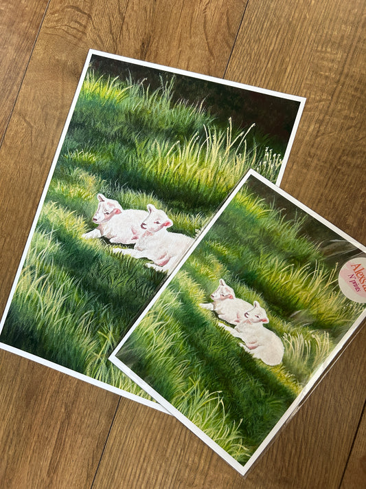 Spring Lambs Art Print