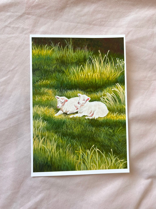 Spring lambs art print