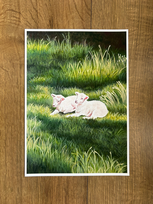 Spring Lambs Art Print