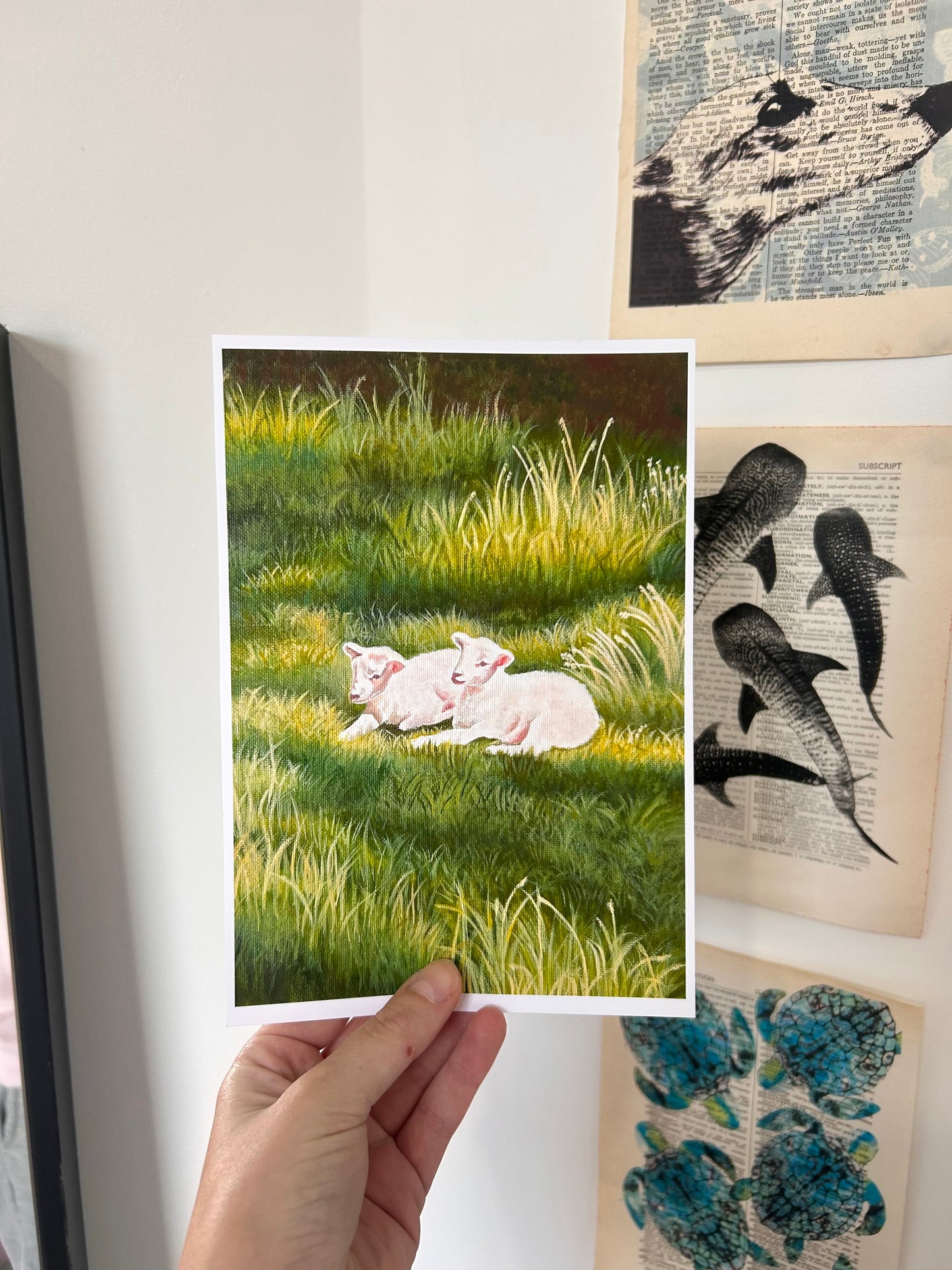 Spring lambs art print