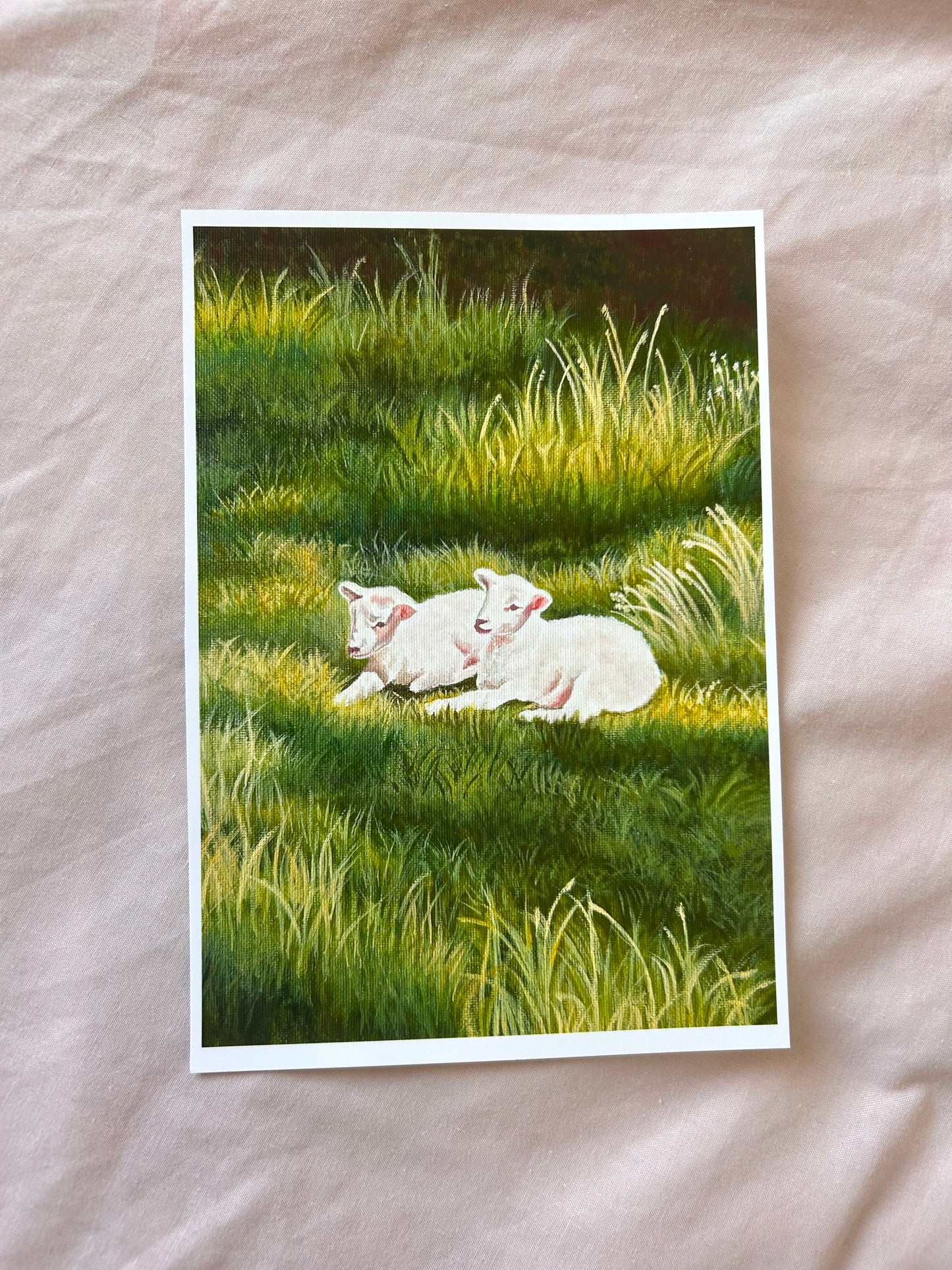 Spring lambs art print